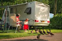 Vakantiepark Koningshof - Familie beim Enten Füttern auf ihrem Stellplatz
