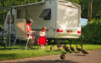 Vakantiepark Koningshof