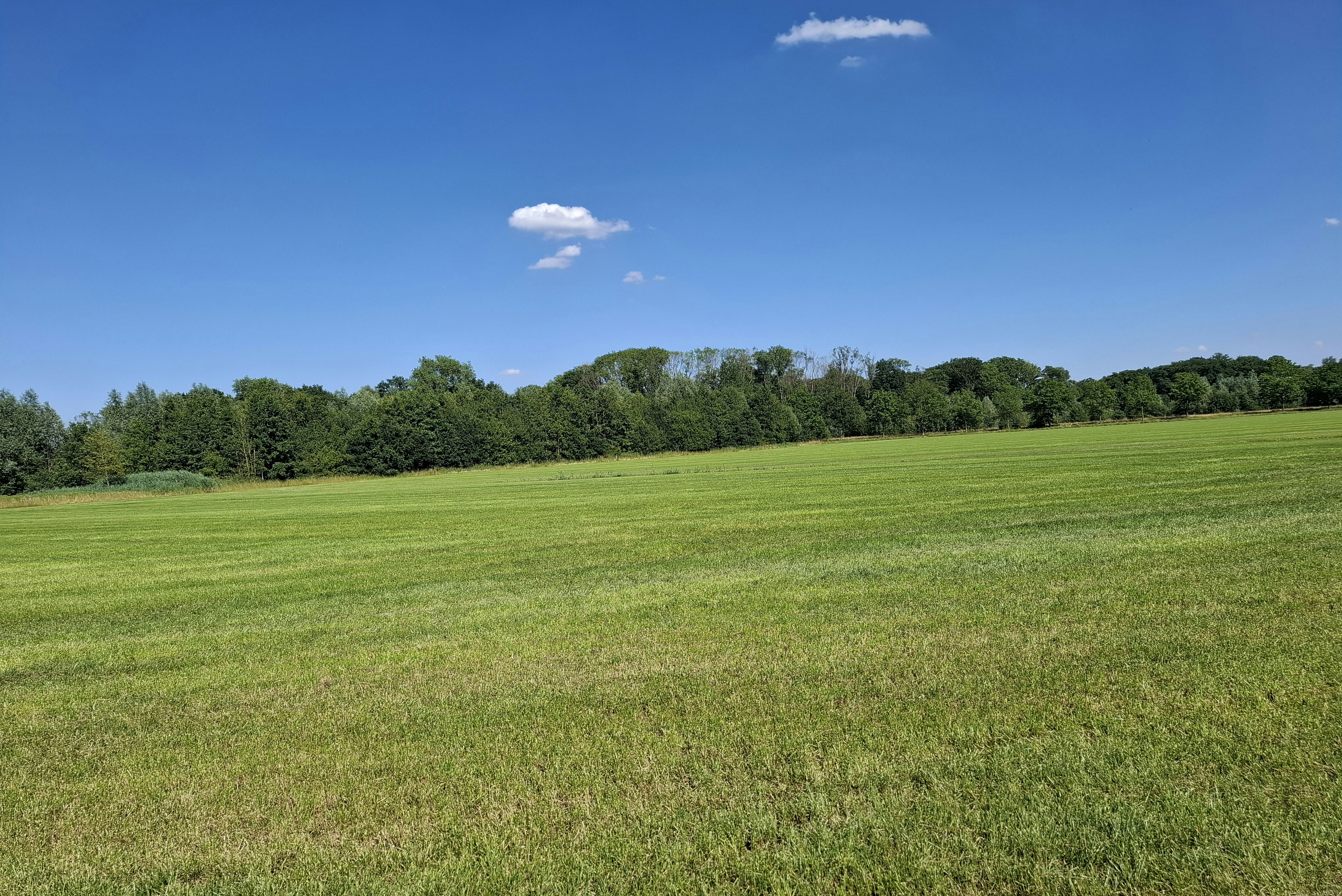 Vakantiepark Lodieklanden - Blick auf die Wiesen in der Umgebung des Campingplatzes