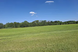 Vakantiepark Lodieklanden - Blick auf die Wiesen in der Umgebung des Campingplatzes