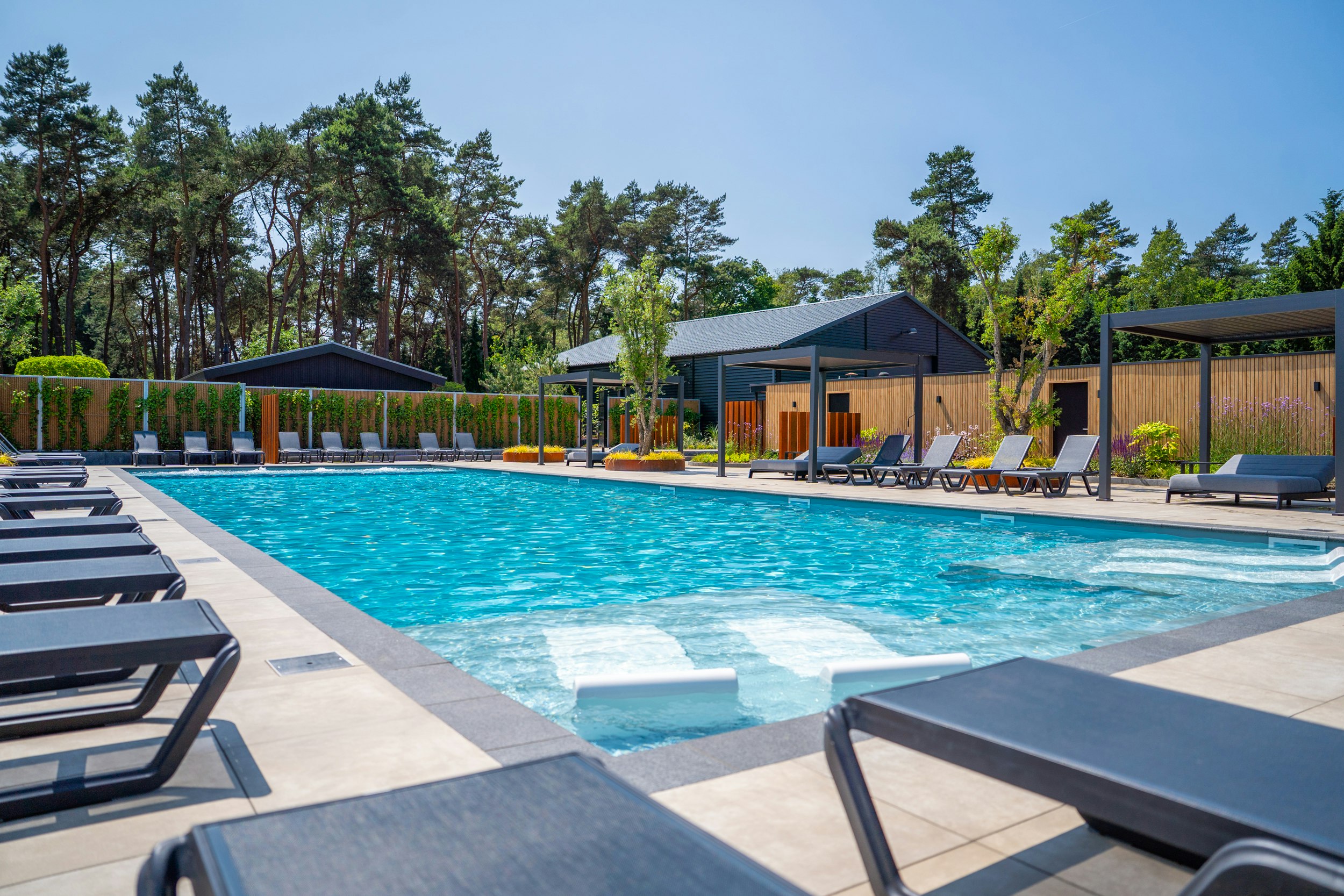 Vakantiepark Molenvelden  - Pool im Freien mit Liegestühlen und Sonnenschirmen