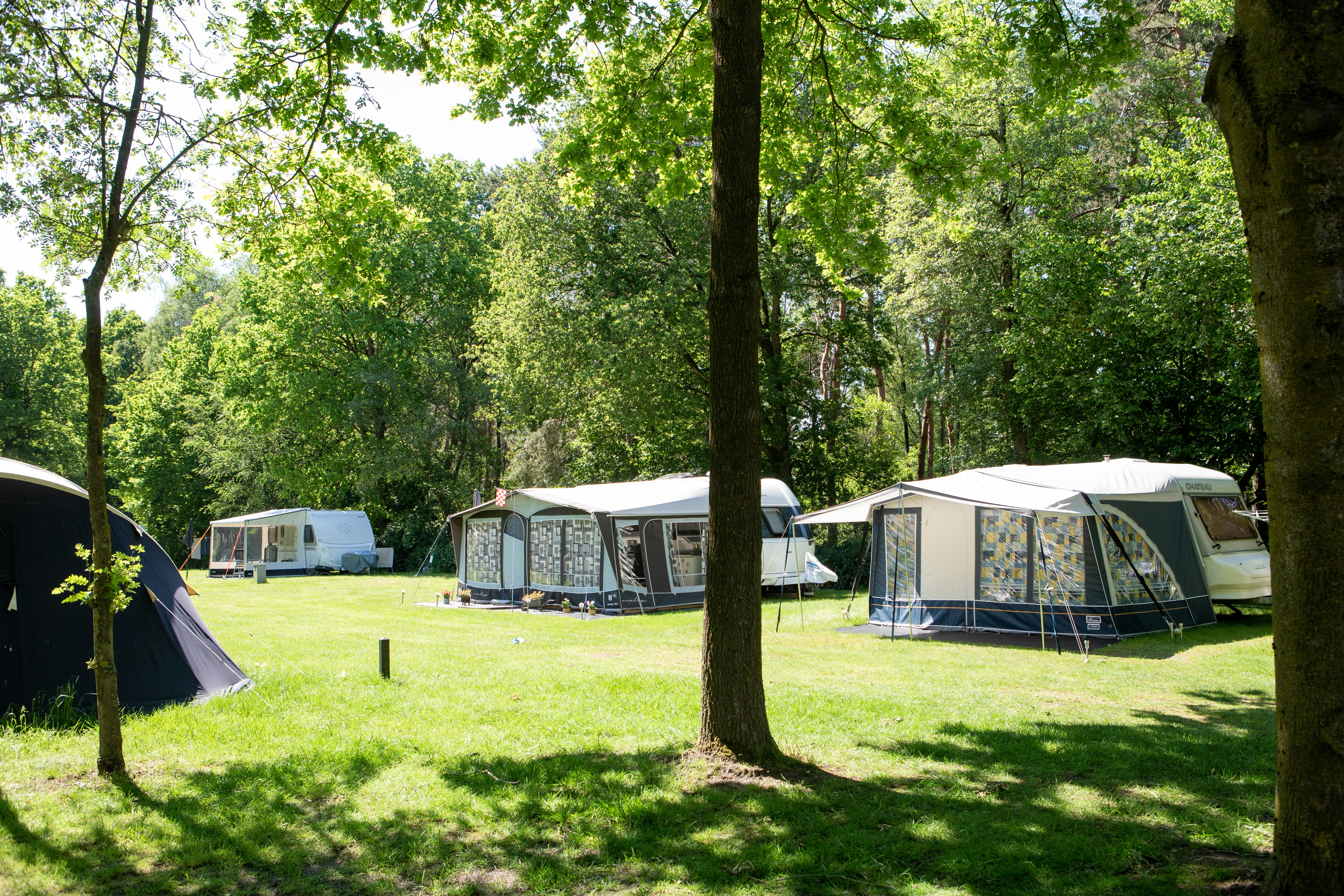 Vakantiepark Molenvelden