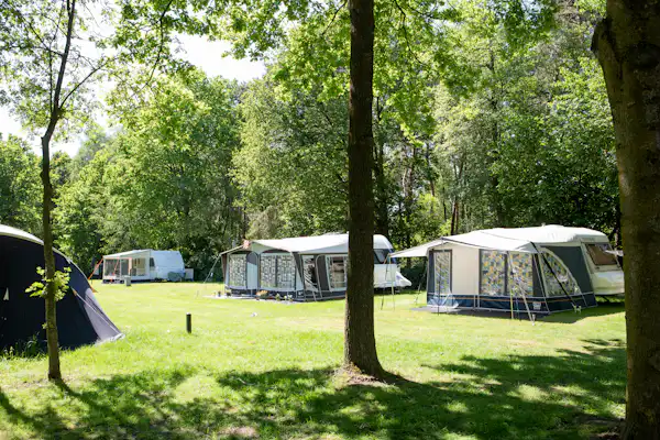 Vakantiepark Molenvelden