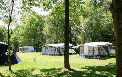 Vakantiepark Molenvelden