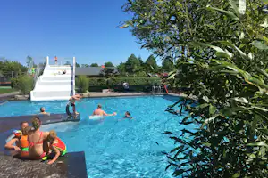 Vakantiepark 't Rheezerwold - Freibad mit Wasserrutsche auf dem Campingplatz