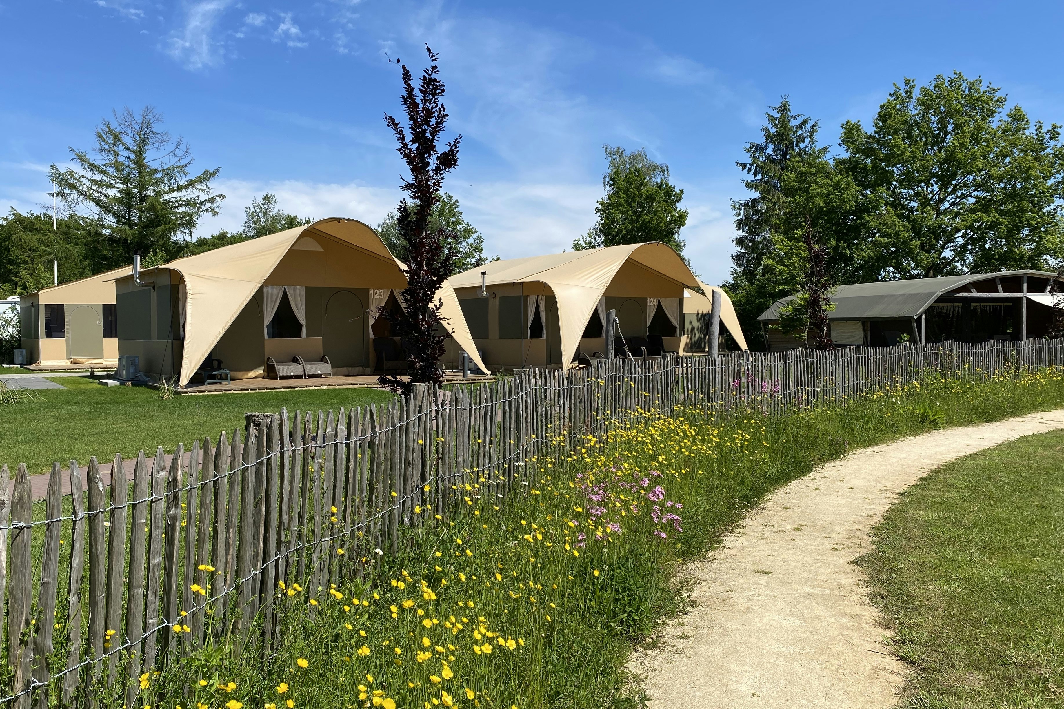 Vakantiepark 't Rheezerwold - Glamping-Zelte auf dem Campingplatz
