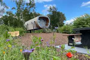 Vakantiepark 't Rheezerwold - Mobilheim-Pods auf dem Campingplatz