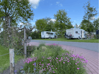 Vakantiepark 't Rheezerwold - Wohnmobil- und  Wohnwagenstellplätze auf der Wiese