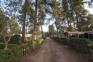 Arden Parks Tulderheyde Vakantiepark Tulderheyde - Mobilheime auf dem Campingplatz