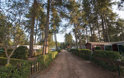 Arden Parks Tulderheyde