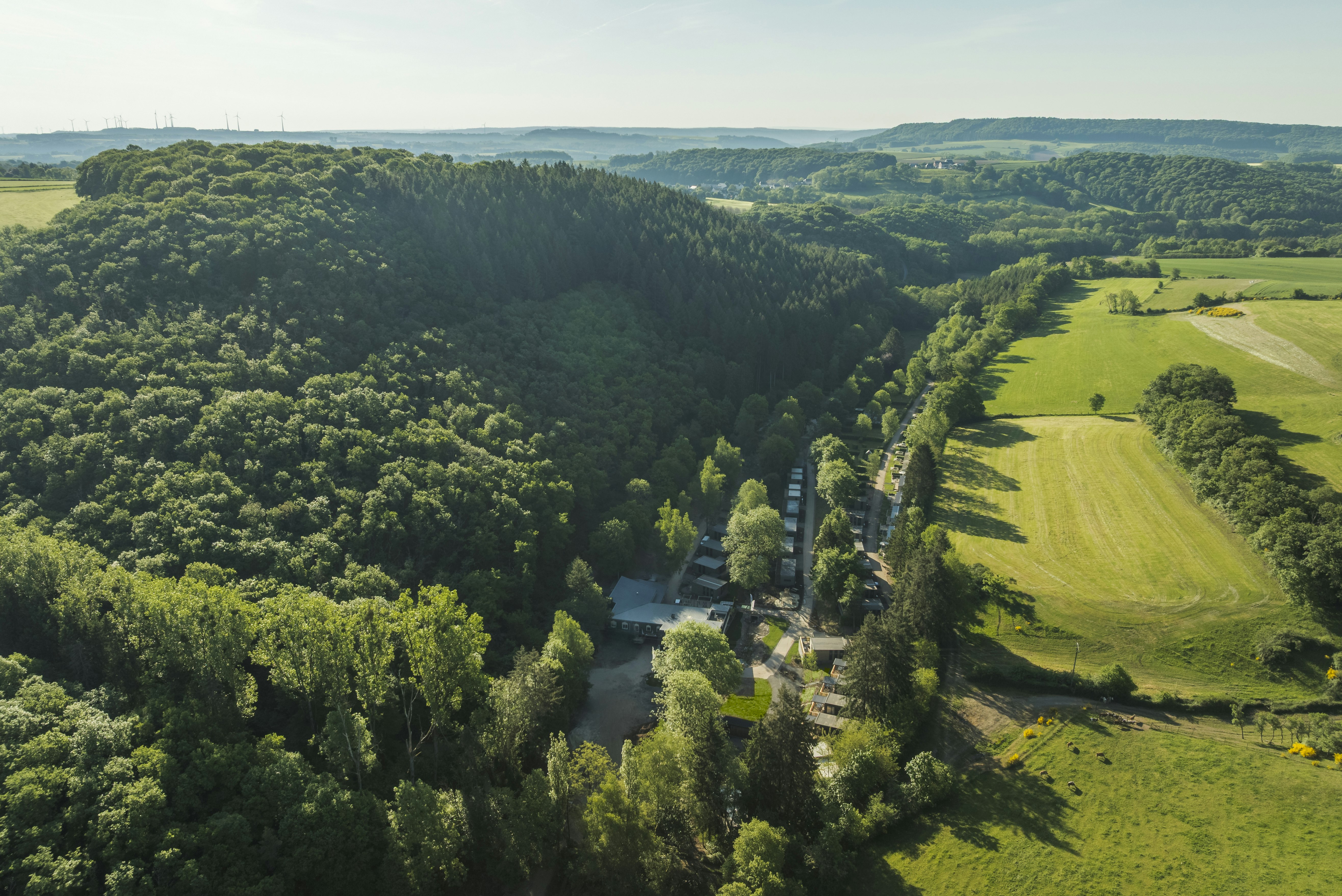 Resort Walsdorf  Vakantiepark Walsdorf  - Campingplatz umgeben von Wald aus der Vogelperspektive
