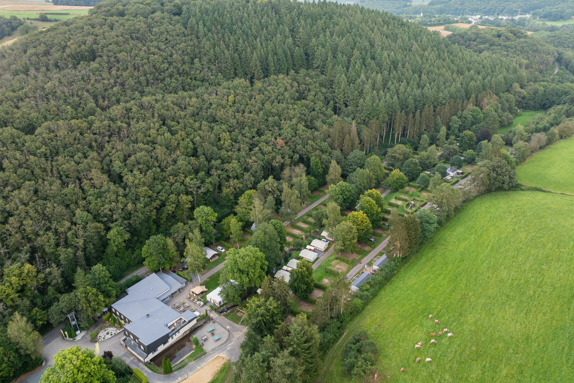 Resort Walsdorf  Vakantiepark Walsdorf  - Luftaufnahme des Campingplatzes