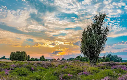 Vakantiepark Westerbergen