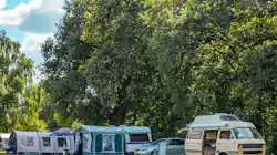 Vakantiepark Witterzomer