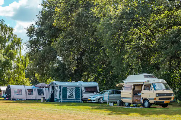 Vakantiepark Witterzomer