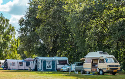 Vakantiepark Witterzomer