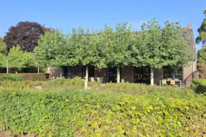 Vakantieverblijf De Rozenhorst - Mobilheim mit Terrasse auf dem Campingplatz