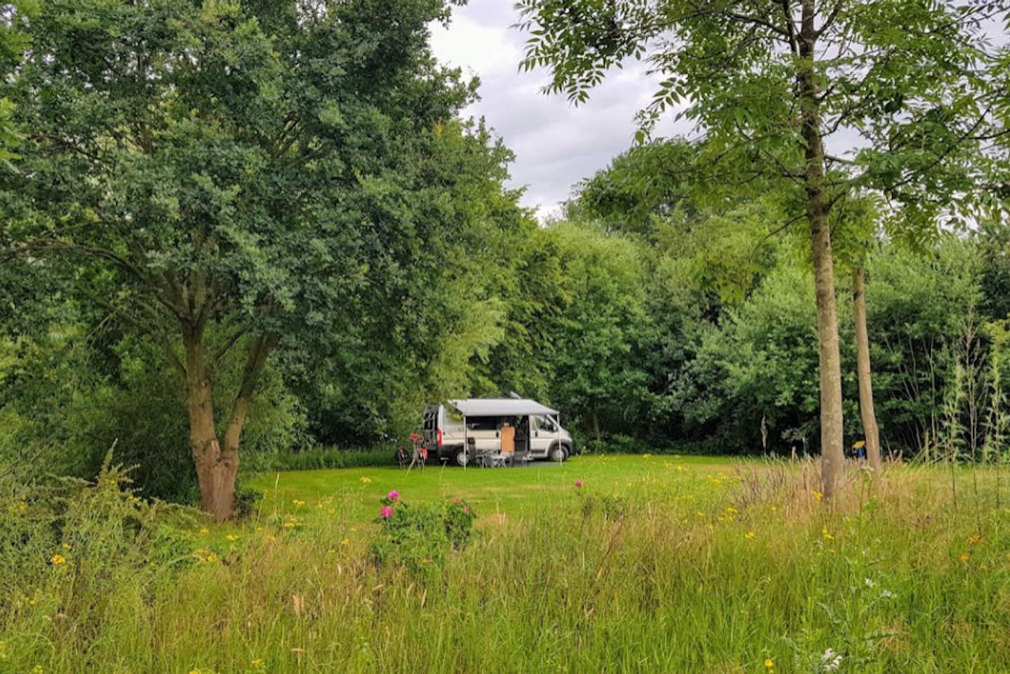 Vakantieverblijf De Rozenhorst - Blick auf einen Standplatz im Grünen umgeben von Bäumen