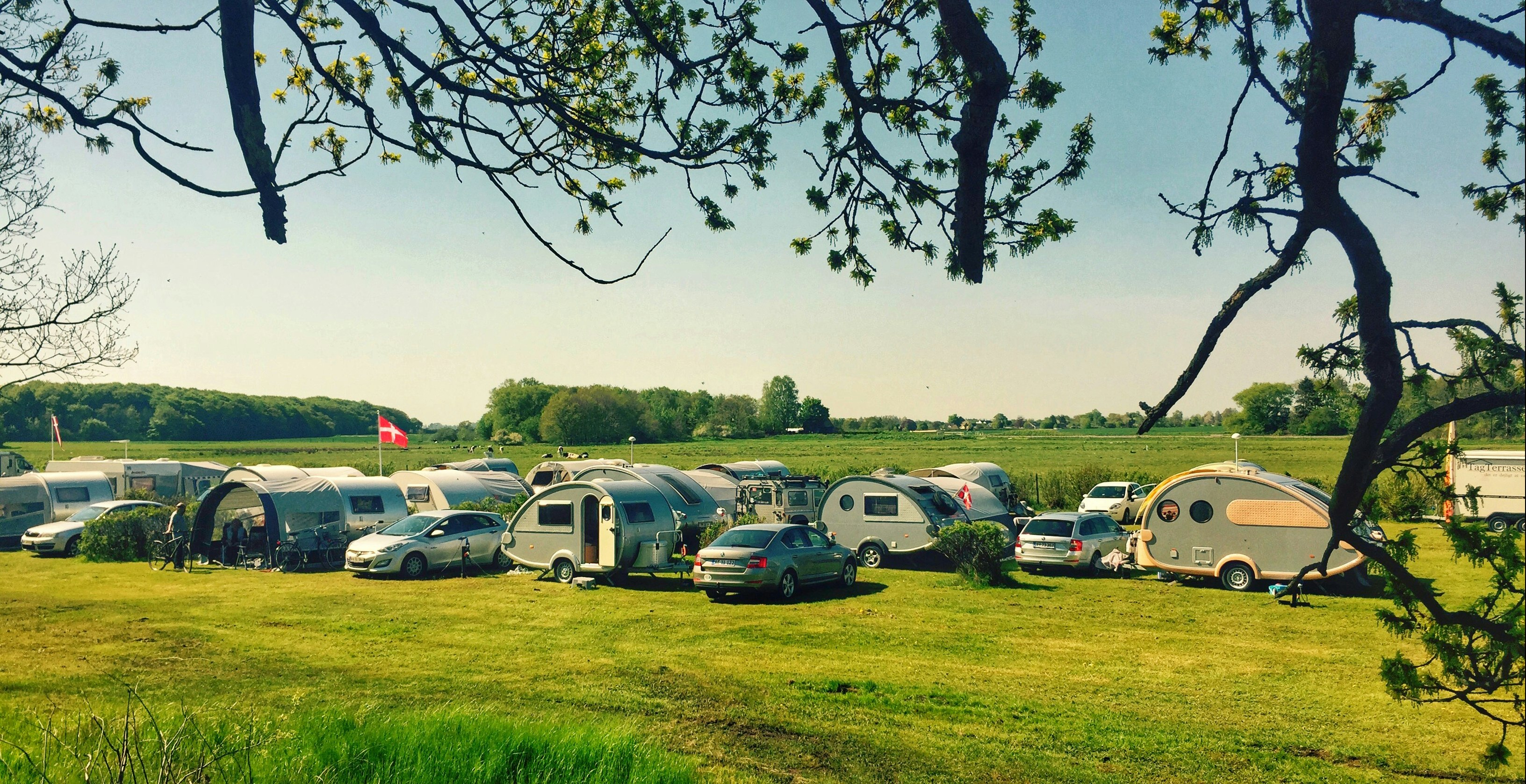 Reihe von Wohnwagen und Autos auf einem Campingplatz auf einer grünen Wiese, im Vordergrund ein Baumast.