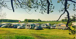 Reihe von Wohnwagen und Autos auf einem Campingplatz auf einer grünen Wiese, im Vordergrund ein Baumast.