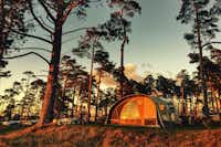 Køge & Vallø Camping - Zeltplätze bei Sonnenuntergang