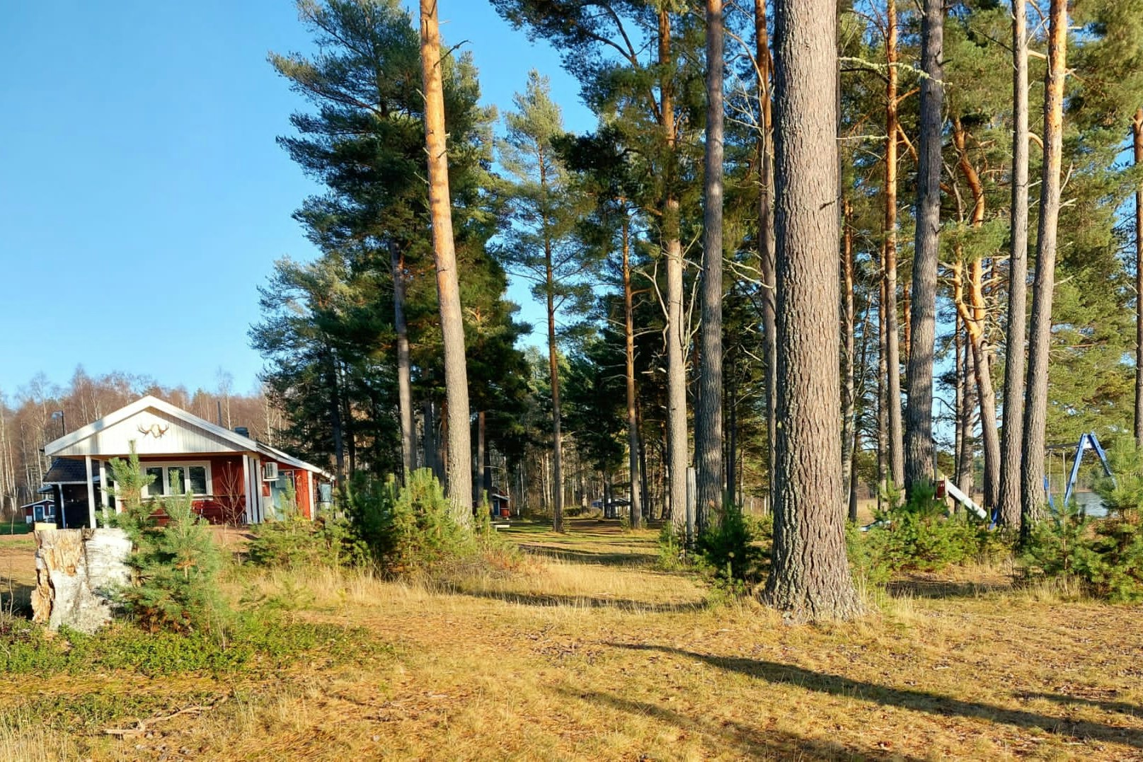 Våmåbadet Camping - Gebäude und Natur auf dem Campingplatz