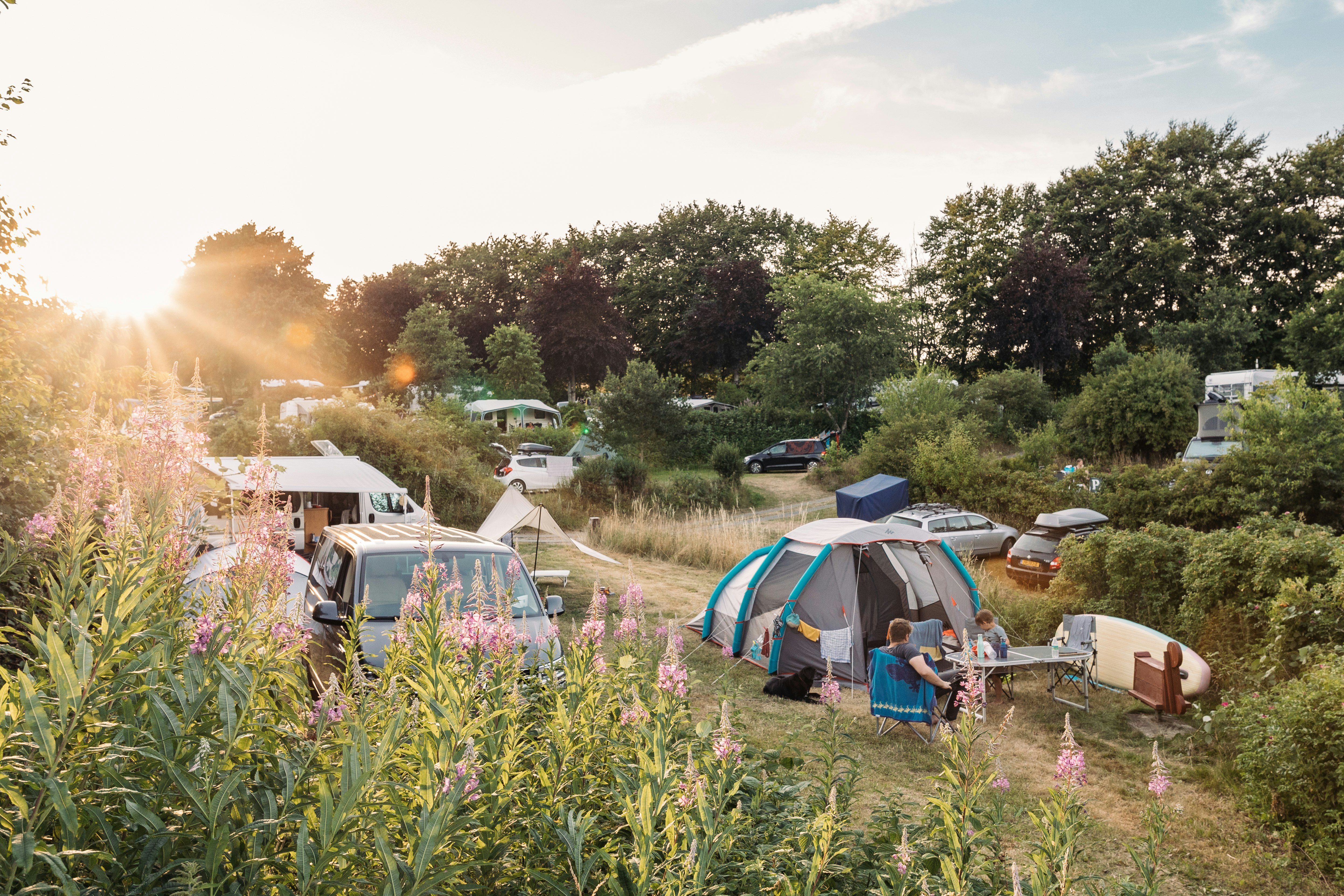 Vammen Camping - Blick auf das Campingplatzgelände
