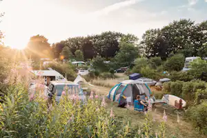 Vammen Camping - Blick auf das Campingplatzgelände