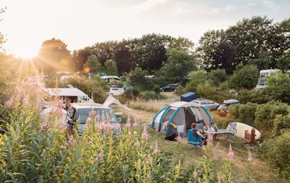 Vammen Camping