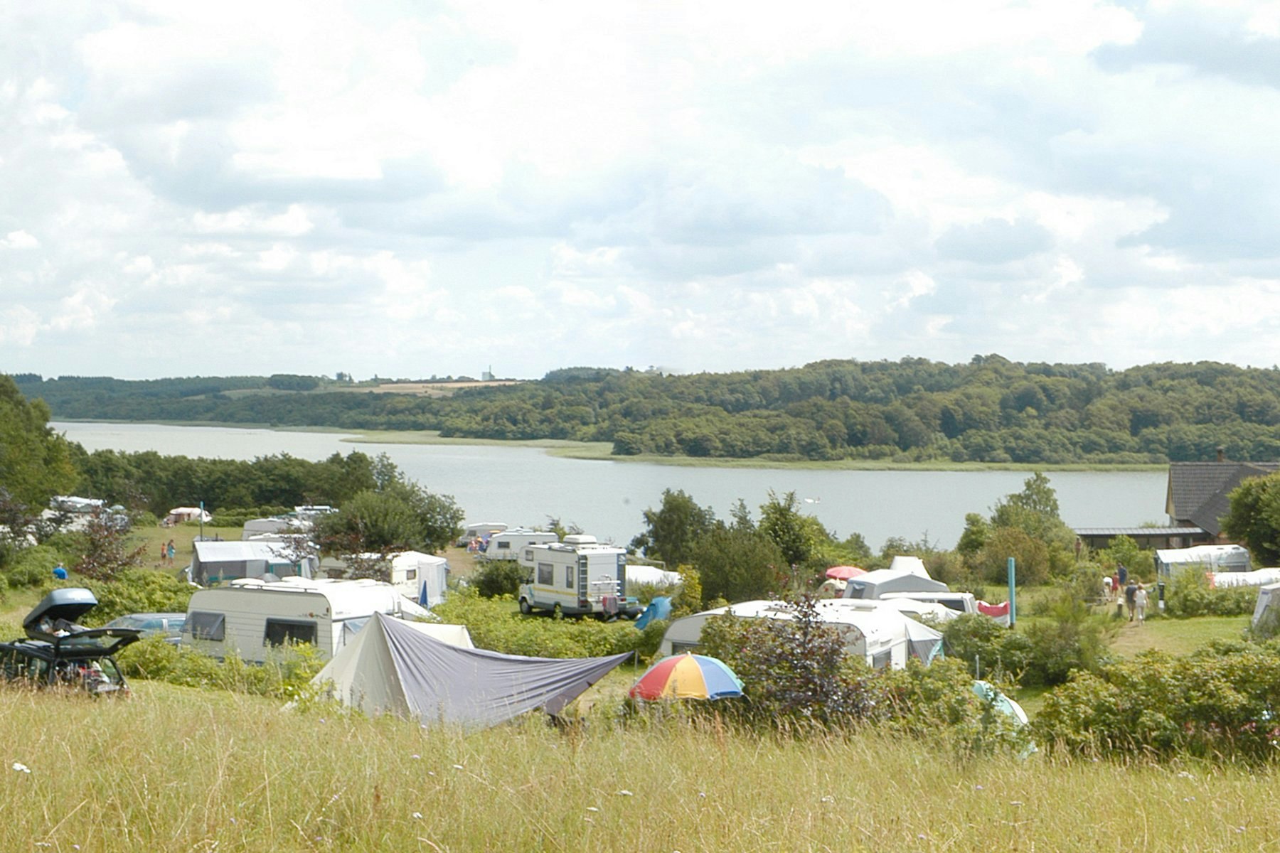 Vammen Camping - Blick auf den Campingplatz 