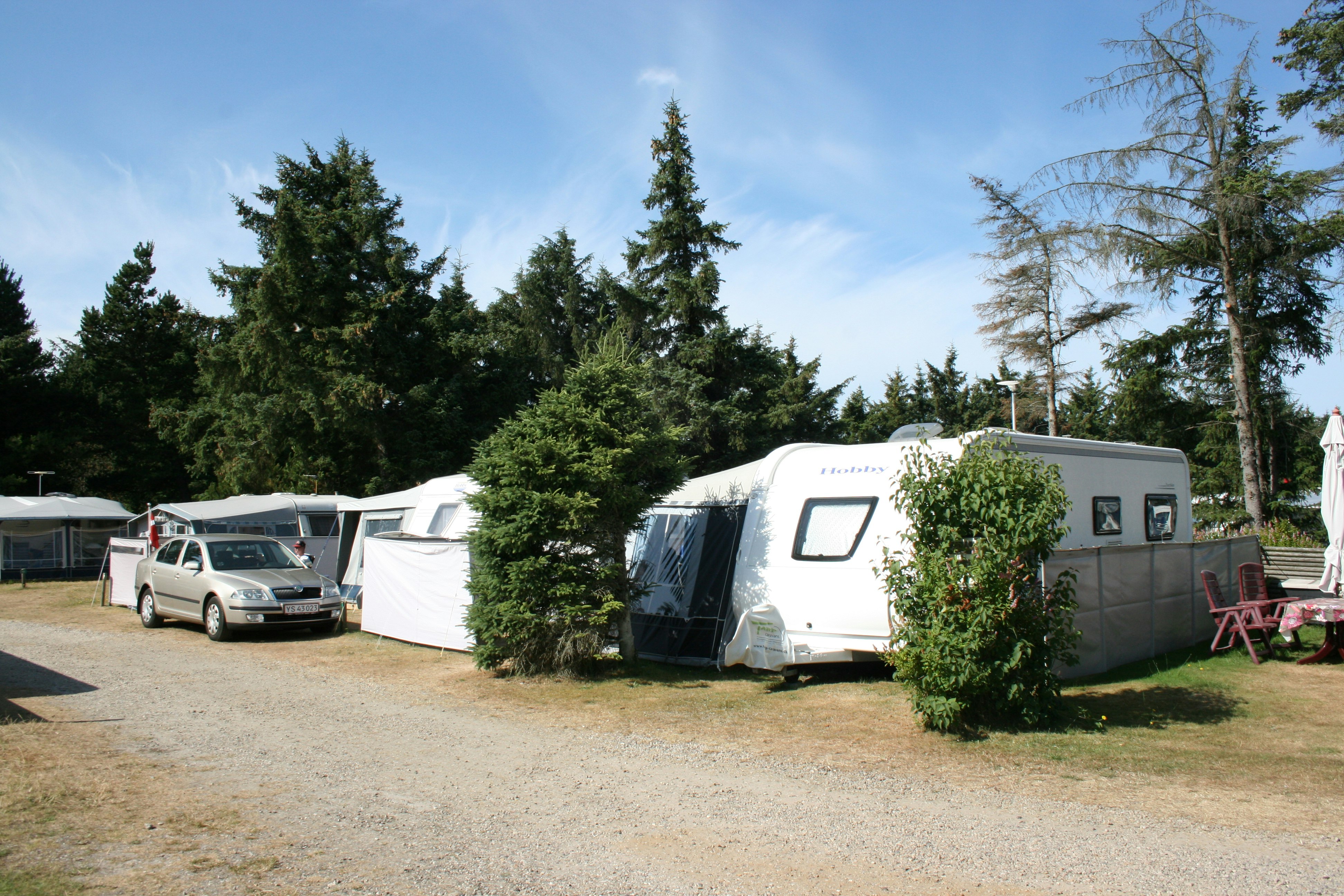 Vejers Familie Camping - Bewohnte Standplätze zwischen Bäumen auf dem Campingplatz
