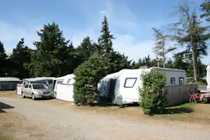 Vejers Familie Camping - Bewohnte Standplätze zwischen Bäumen auf dem Campingplatz