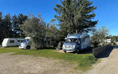 Vejers Familie Camping