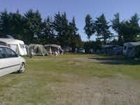 Vejers Familie Camping - Campingbereich für Zelte und Wohnwagen im Schatten der Bäume