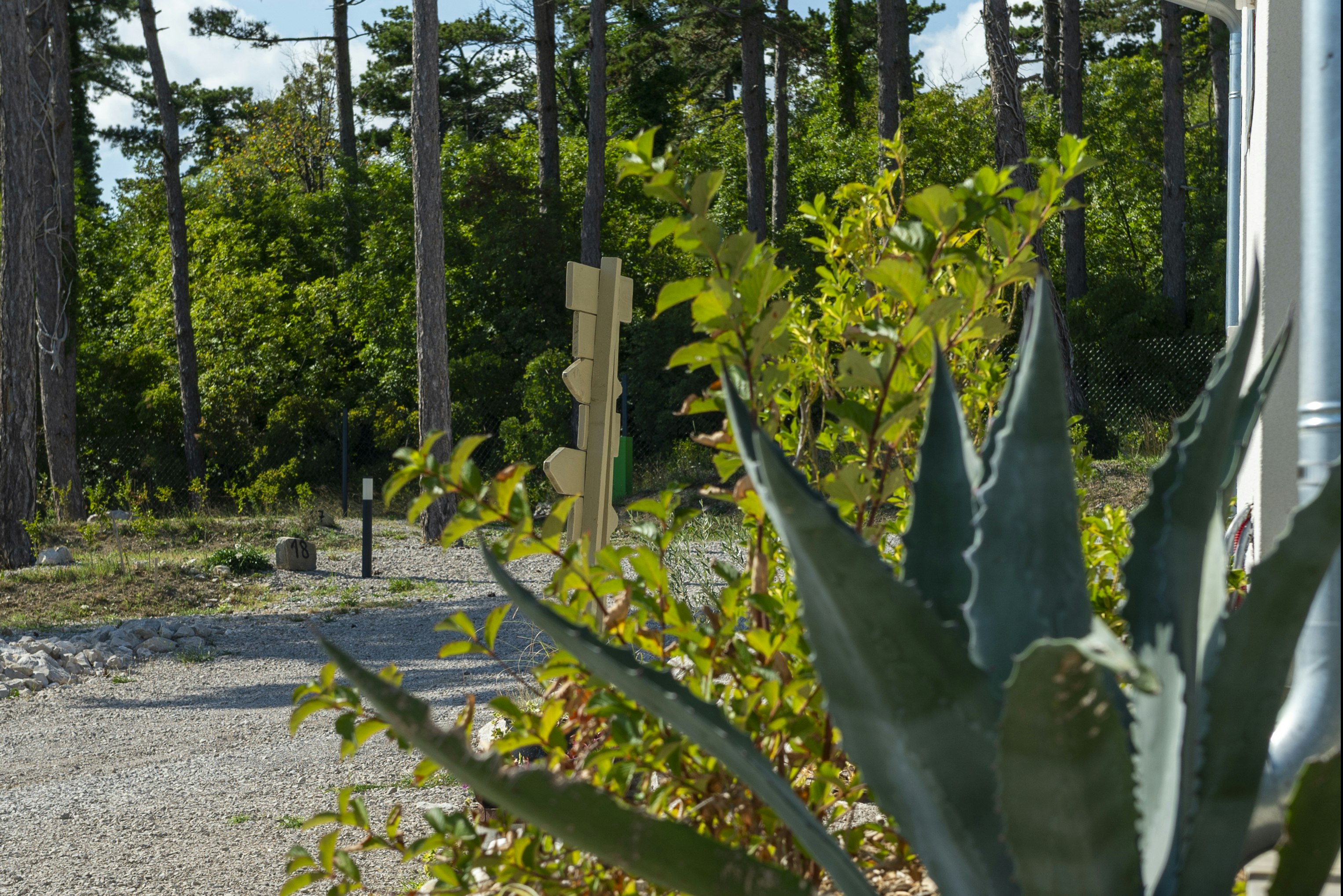 Vela Stina - Standplätze zwischen den Bäumen auf dem Campingplatz