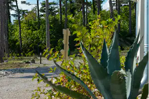 Weg am Campingplatz mit Kiesfläche, Steinen und Kakteenbeet vor einem Gebäude, umgeben von hohen Bäumen.
