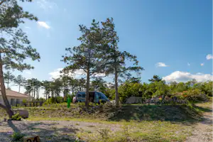Wohnwagen und Auto am Campingplatz, neben Bäumen und Hecken, mit Kiesweg und Rasenfläche im Hintergrund.