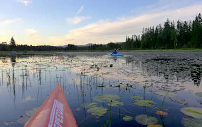 Velfjord Camping & Hytter