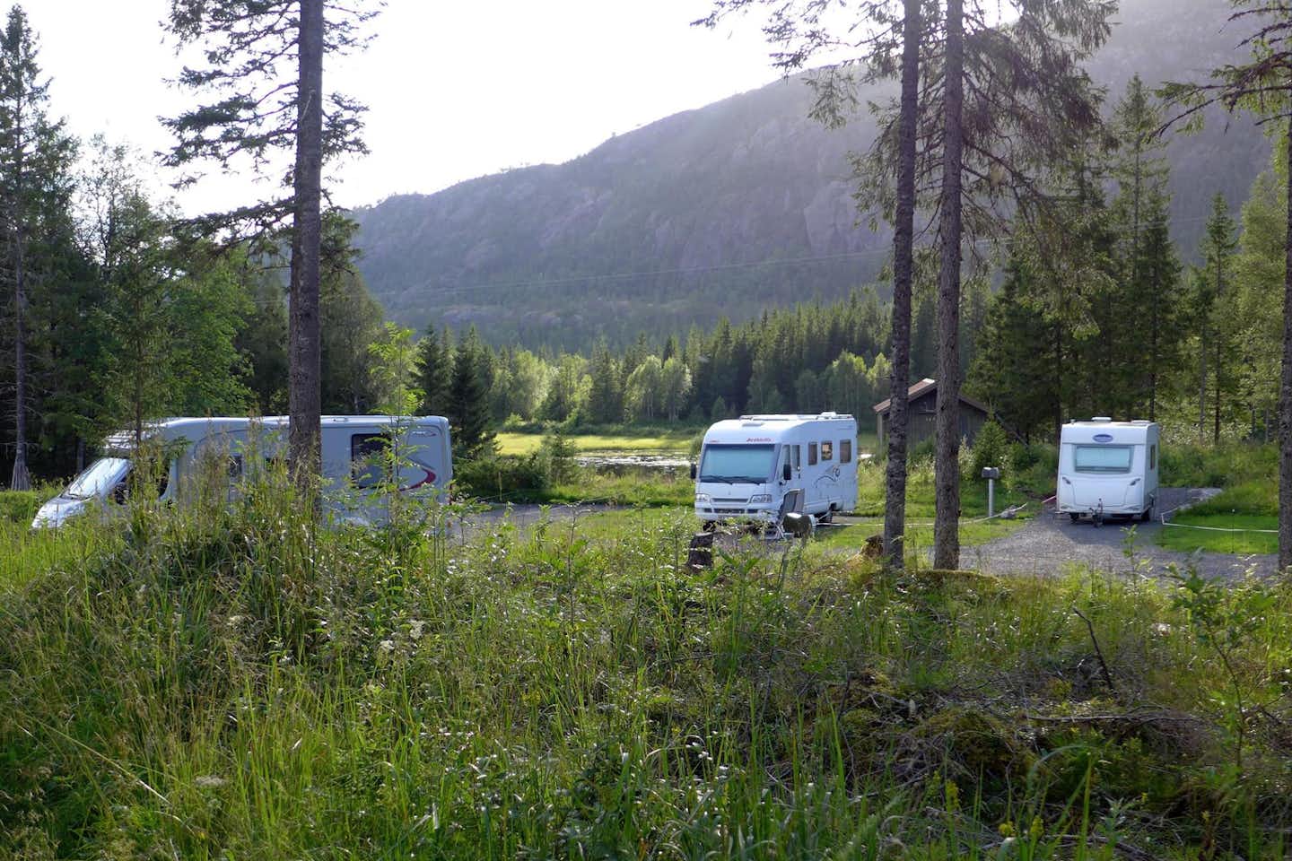 Velfjord Camping & Hytter  -  Wohnwagen- und Zeltstellplatz vom Campingplatz im Grünen