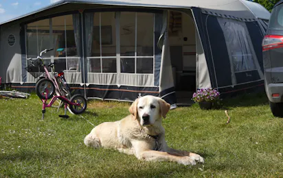 Vesterlyng Camping