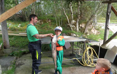 Vågen Camping Hitra