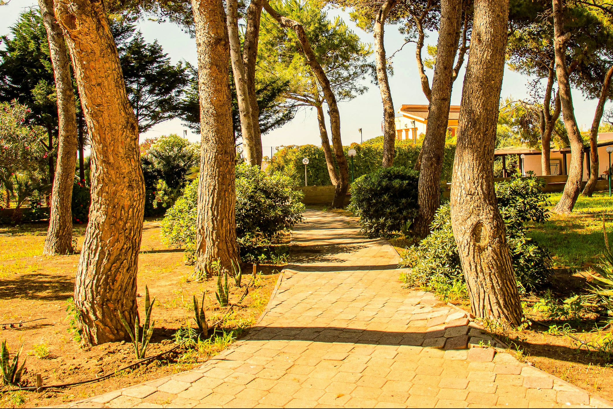 Villa Teti - Blick auf die Standplätze zwischen den Bäumen
