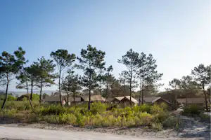 Huttopia Lagoa de Óbidos - Blick auf die Glamping-Zelte auf dem Campingplatz