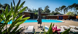 Village Les Pins d'Or