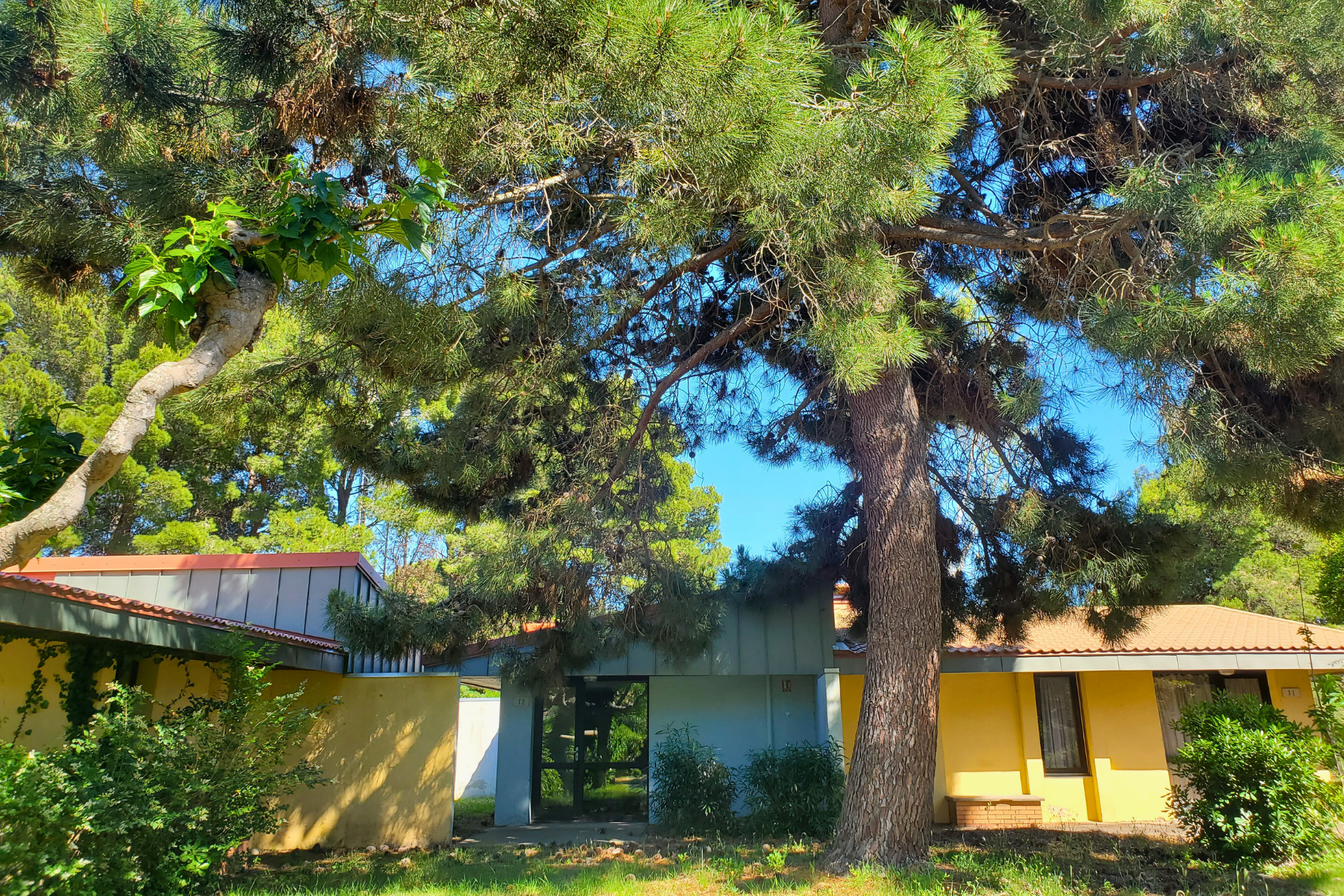 Village vacances ULVF – Canopéa