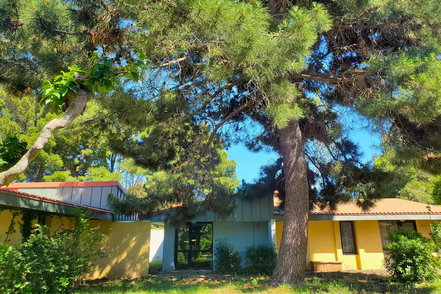 Village vacances ULVF – Canopéa