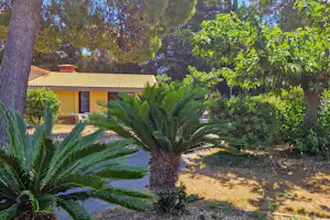 Bungalow im Campinggarten mit gelbem Dach, Palmen und Wegen aus Kies zwischen grünen Bäumen.