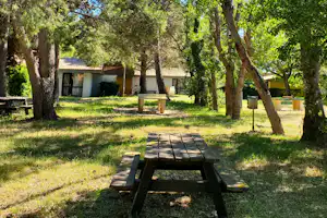 Grüner Campingplatz mit Baumreihe, Picknicktischen und kleinen Gebäuden im Hintergrund, umgeben von Rasen und Wegen.