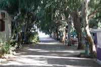 Villaggio Camping Calypso  - Gehweg auf dem vom Campingplatz zwischen Bäumen