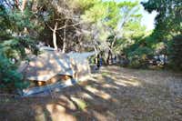 Villaggio Camping Is Arenas - Zeltplätze im Schatten